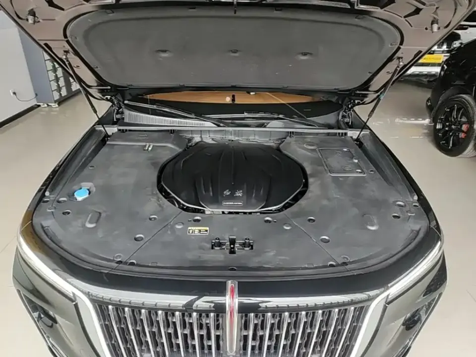 Hongqi Hongqi H9