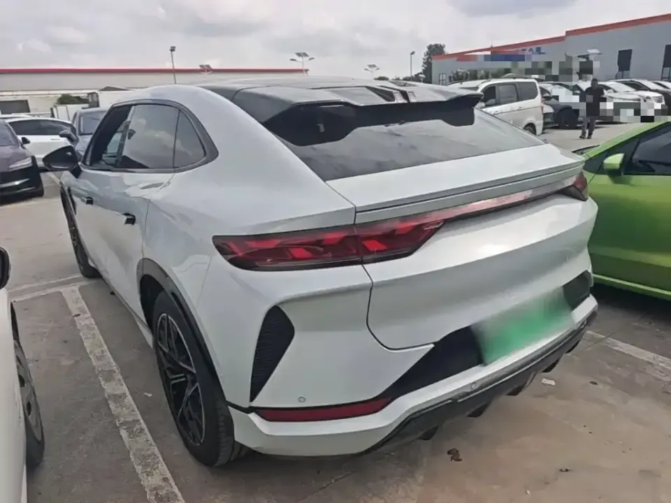 BYD L EV