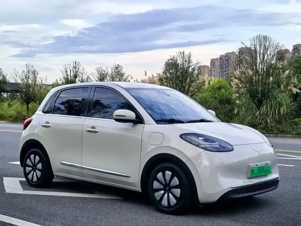 Wuling Bingo