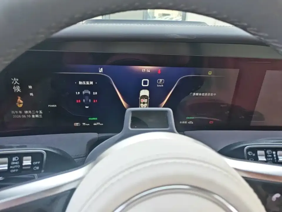 Hongqi Hongqi E-HS9