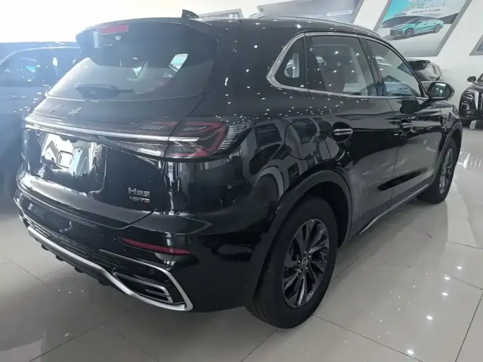 Hongqi Hongqi HS5