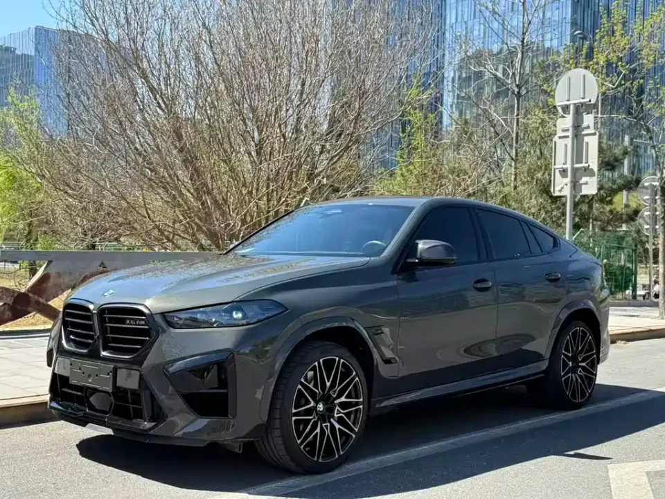 BMW X6 M