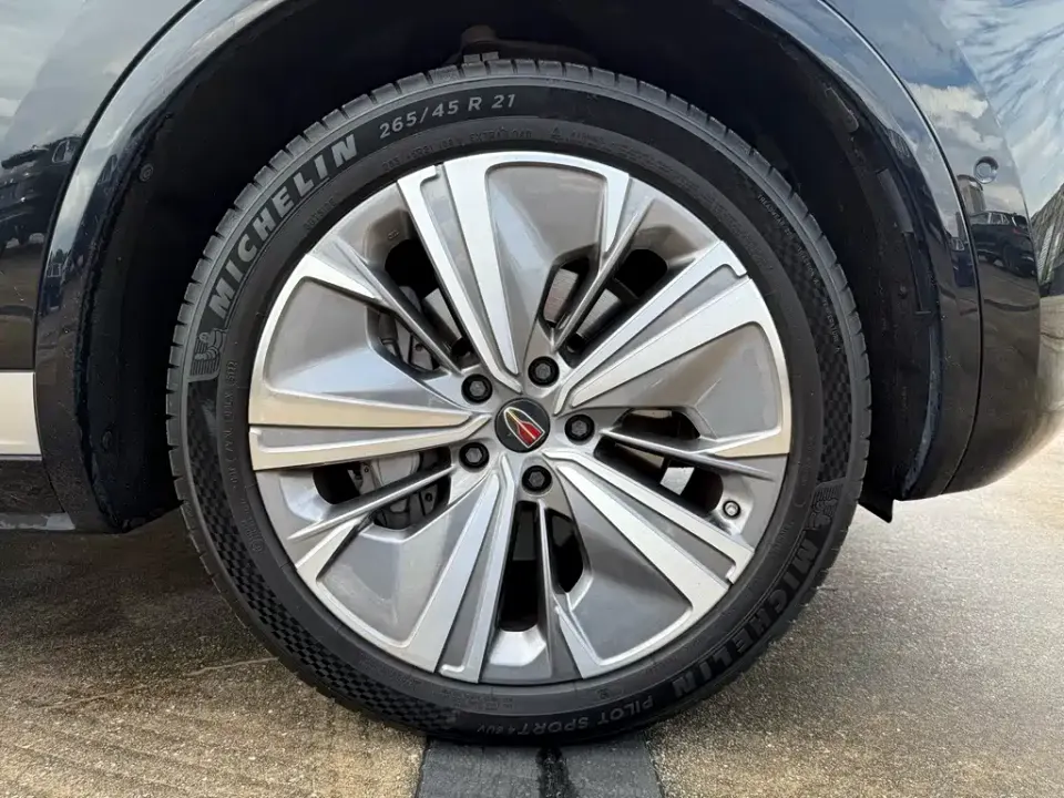 Hongqi Hongqi E-HS9