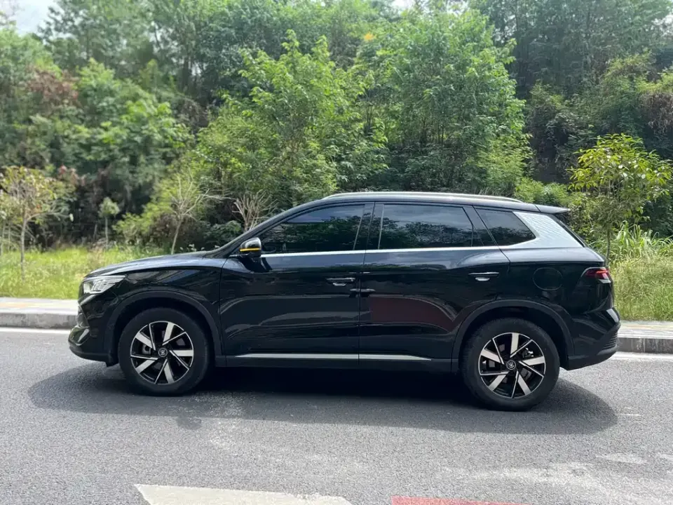 BYD Pro New Energy