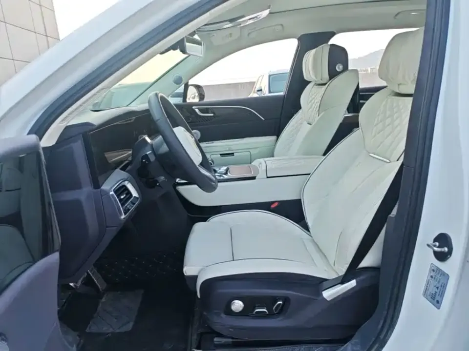 Hongqi Hongqi E-HS9
