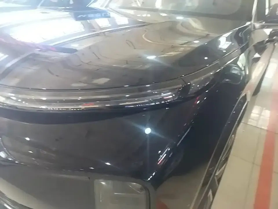 Li Li L9