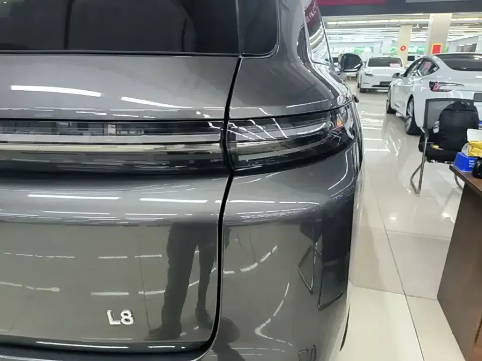 Li Li L8