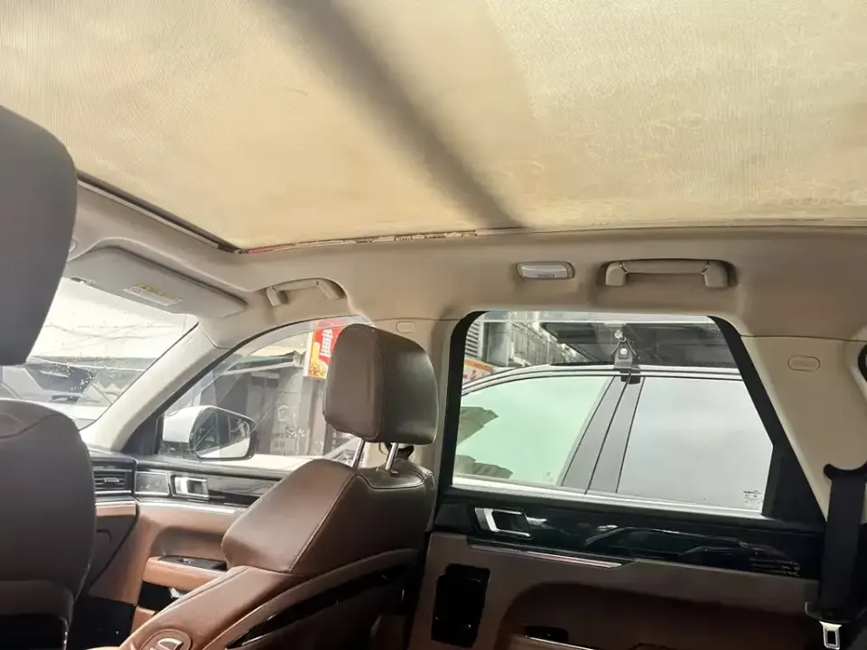 Zotye Zotye T800