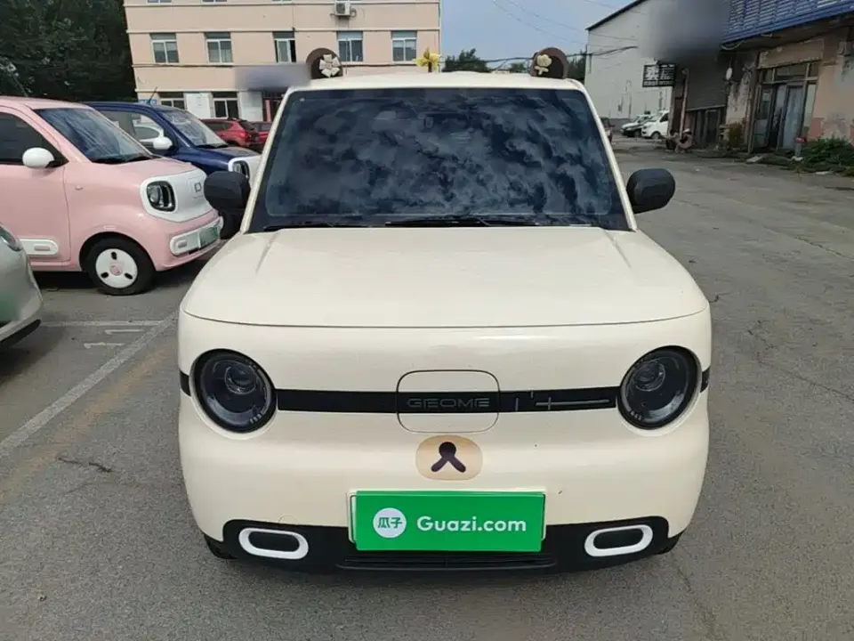 Galaxy Panda