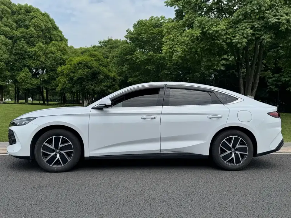 BYD Qin L