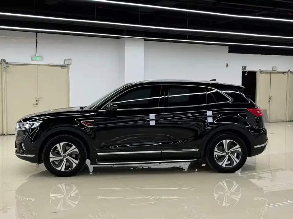 Hongqi Hongqi HS5