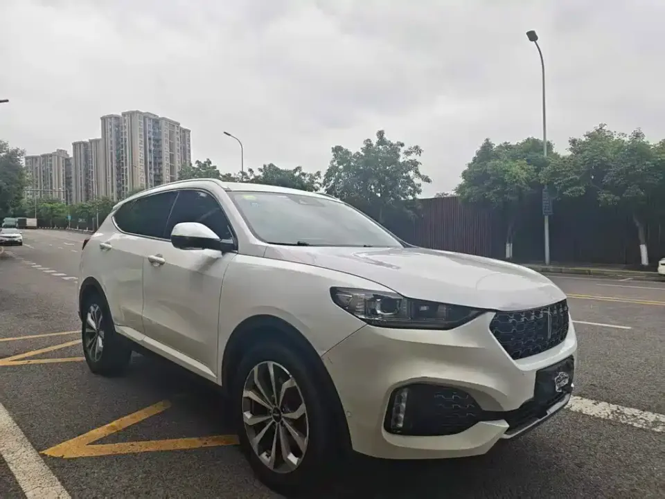 WEY Wey VV6