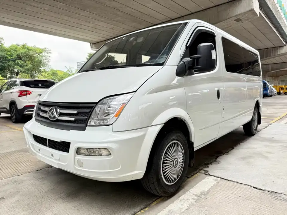 Maxus V80