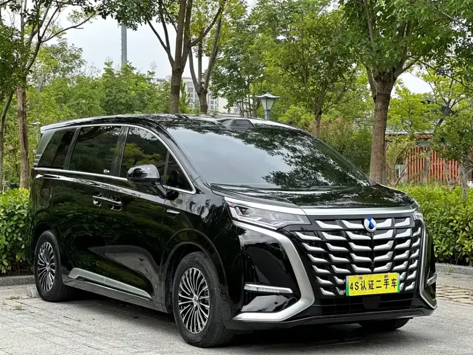Denza Denza D9