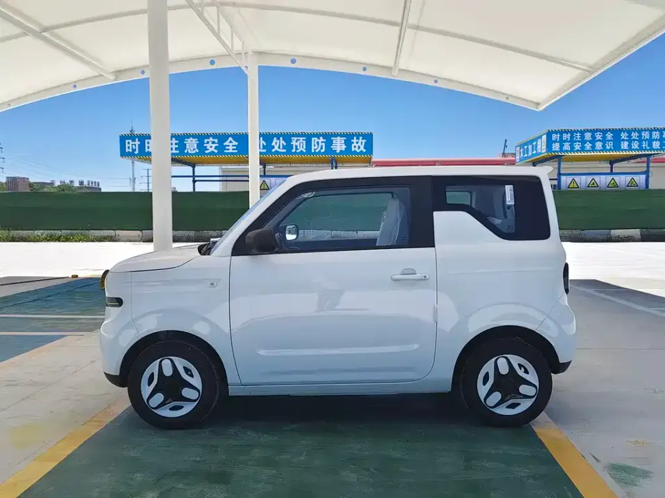 Galaxy Panda