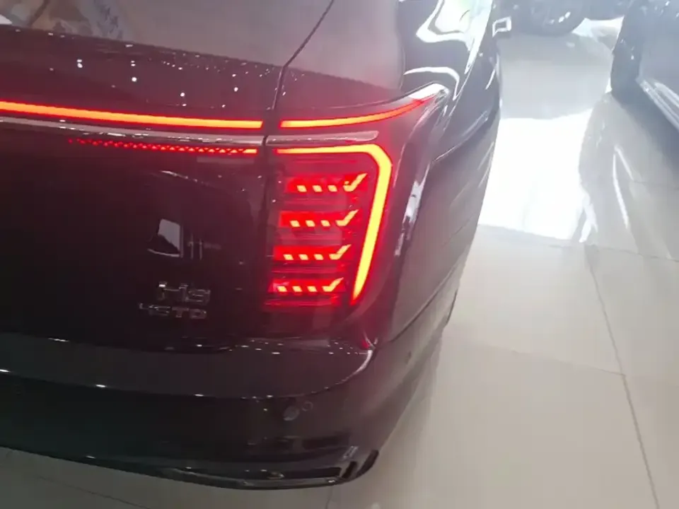 Hongqi Hongqi H9