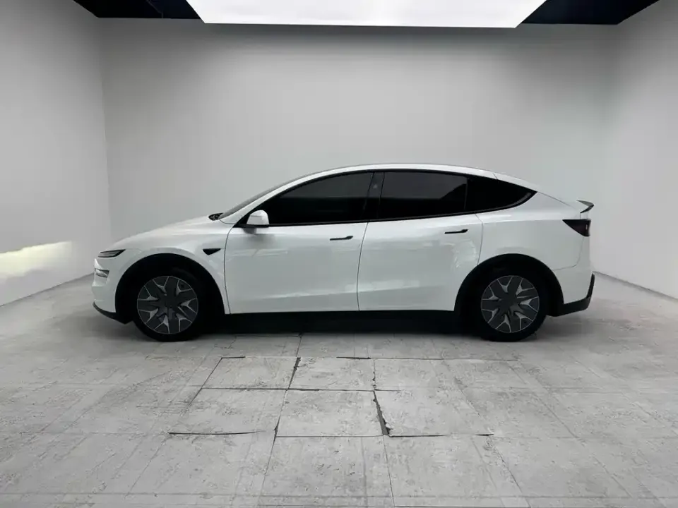 Tesla Model Y L
