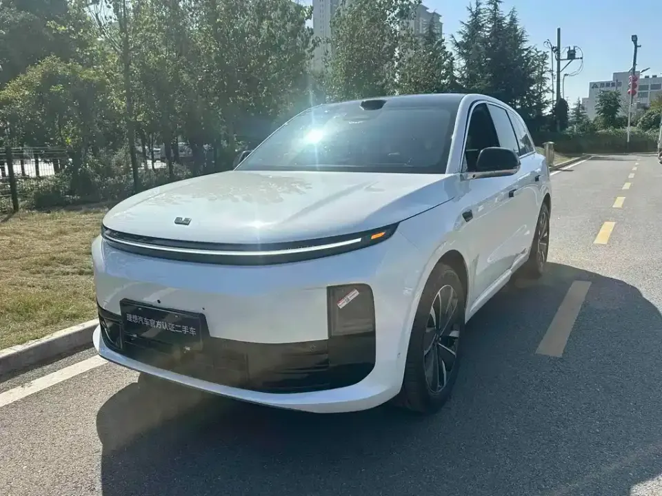 Li Li L6