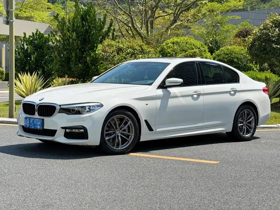 BMW 5 Series (Import)