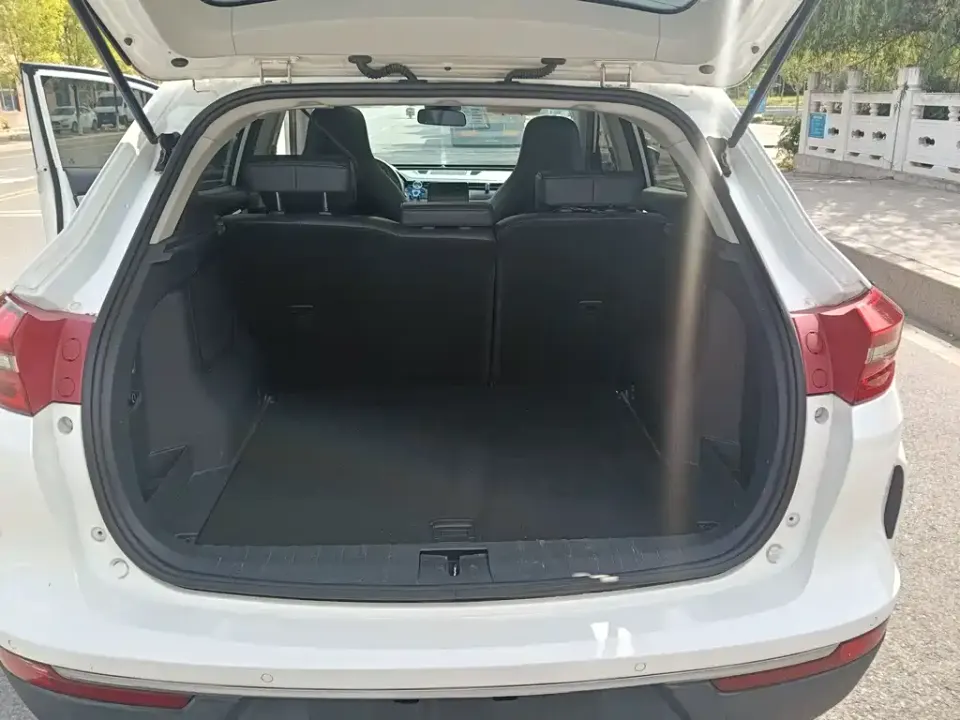 WM Motor EX5