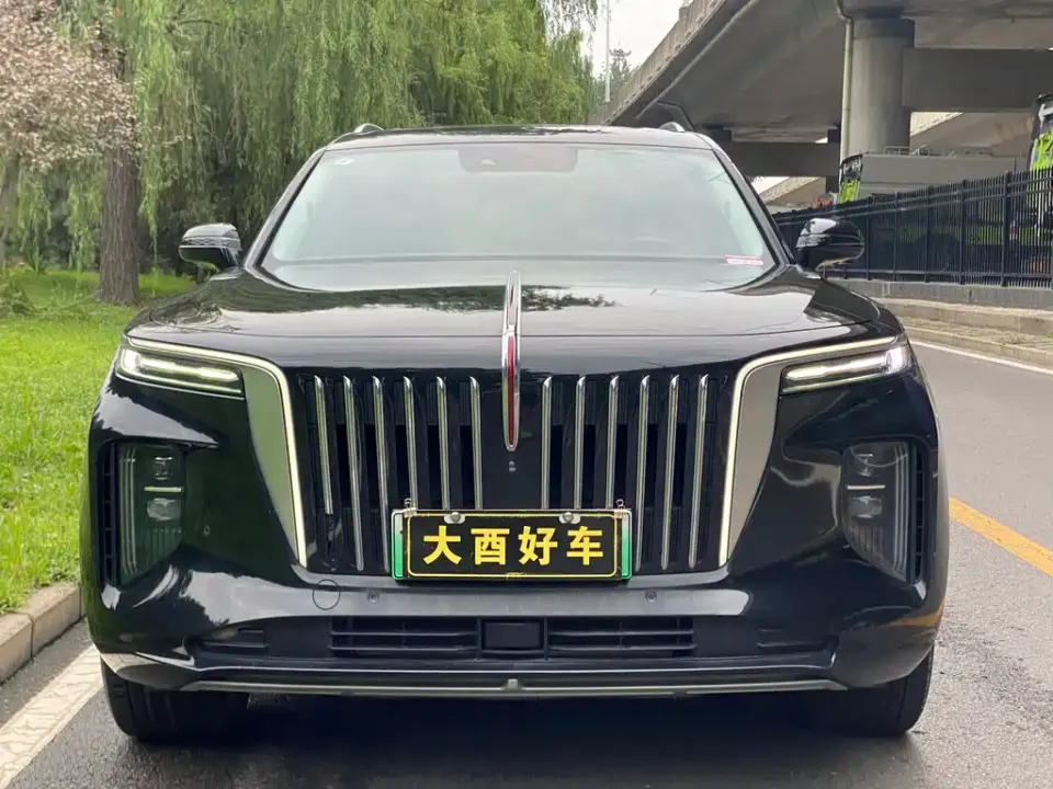 Hongqi Hongqi E-HS9