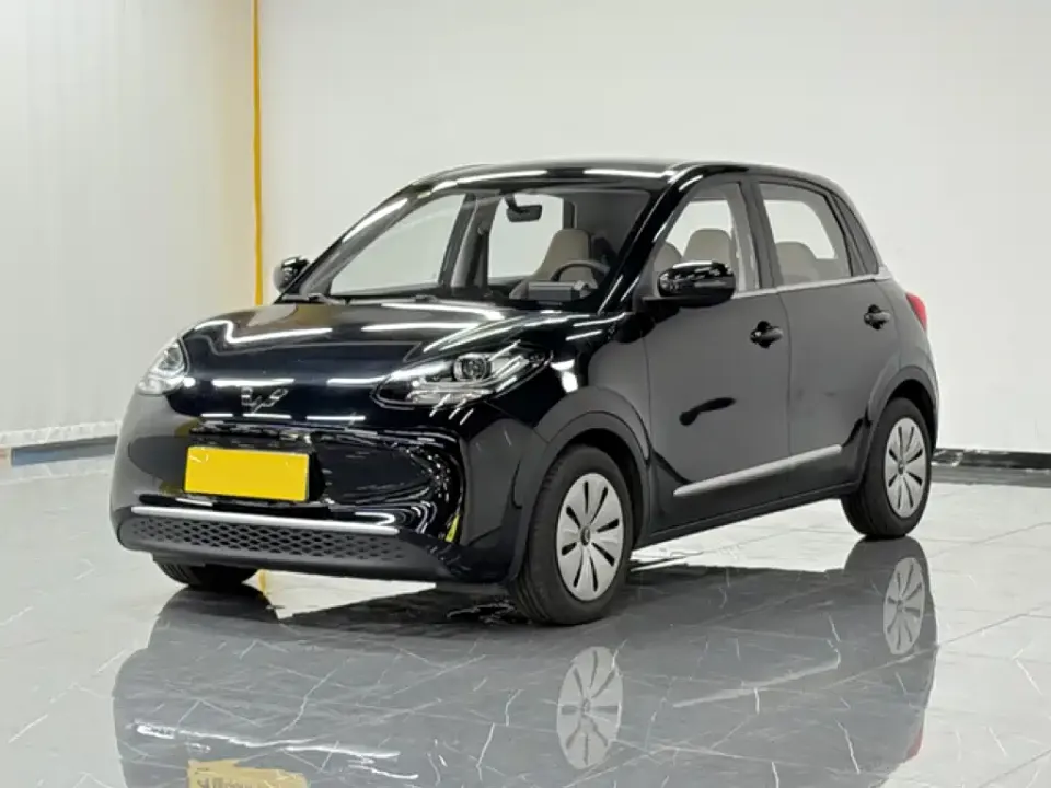 Wuling Bingo