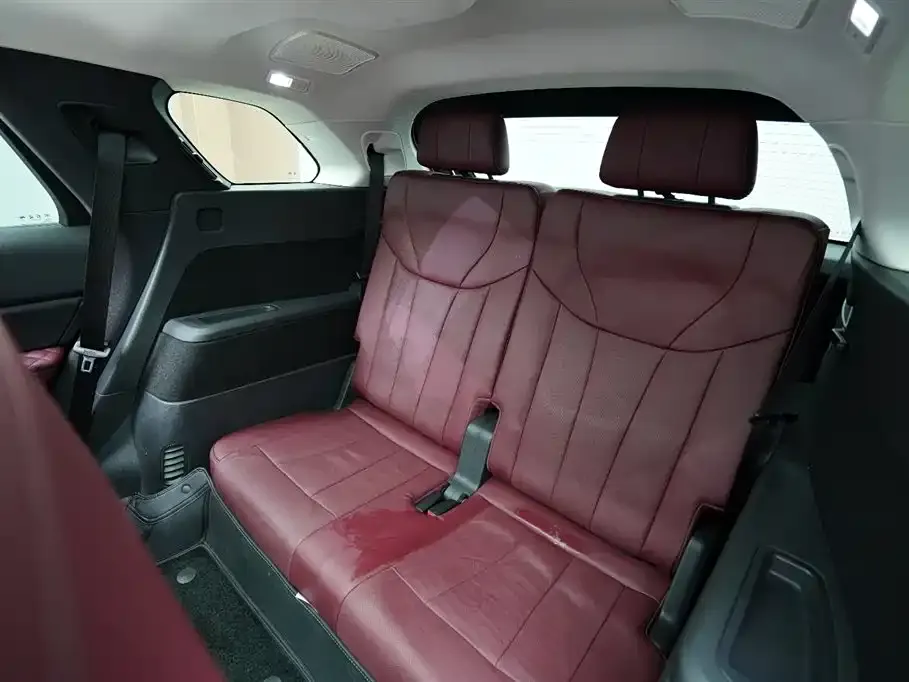Hongqi Hongqi E-HS9