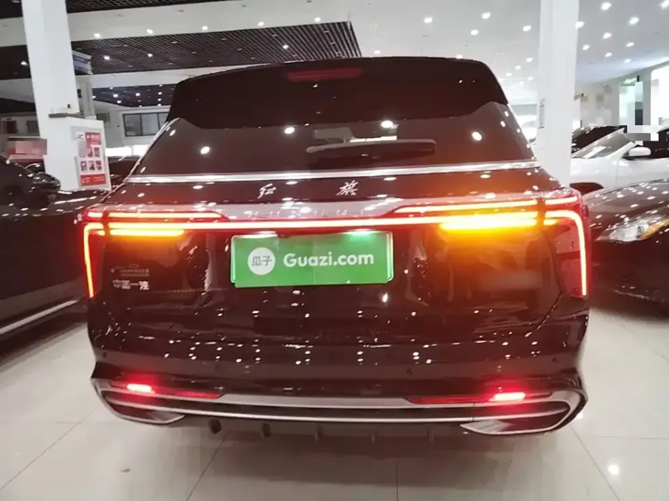 Hongqi Hongqi E-HS9