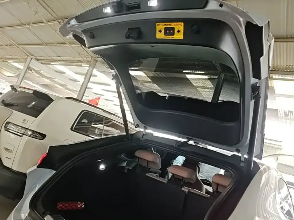 BYD L EV