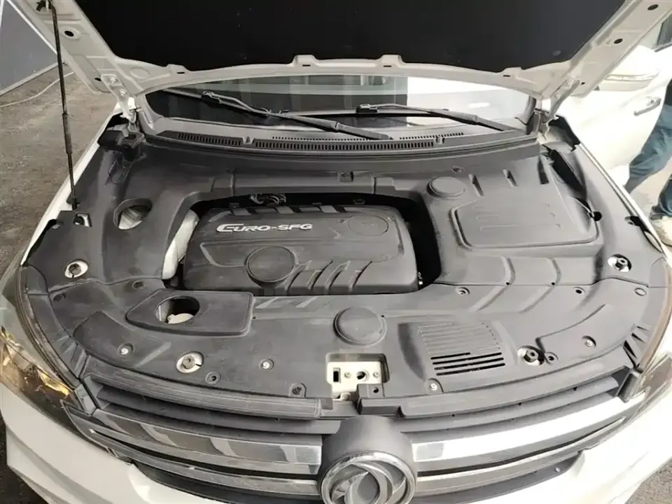 Fengguang Fengguang S560