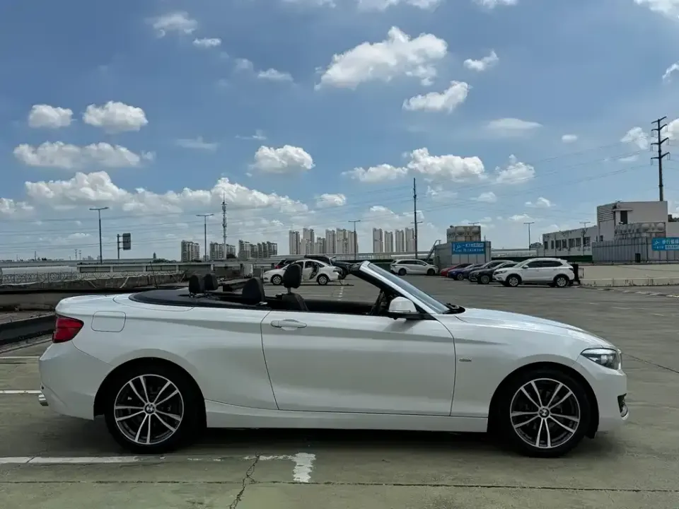 BMW 2 Series (Import)