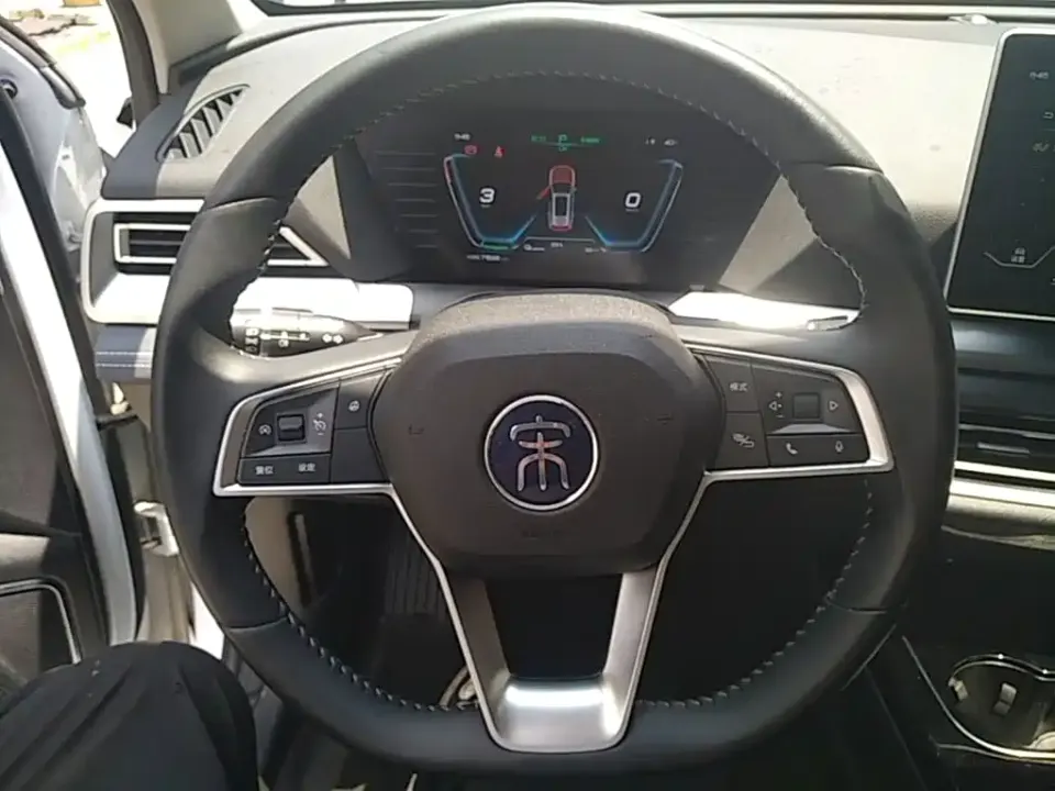 BYD Pro New Energy