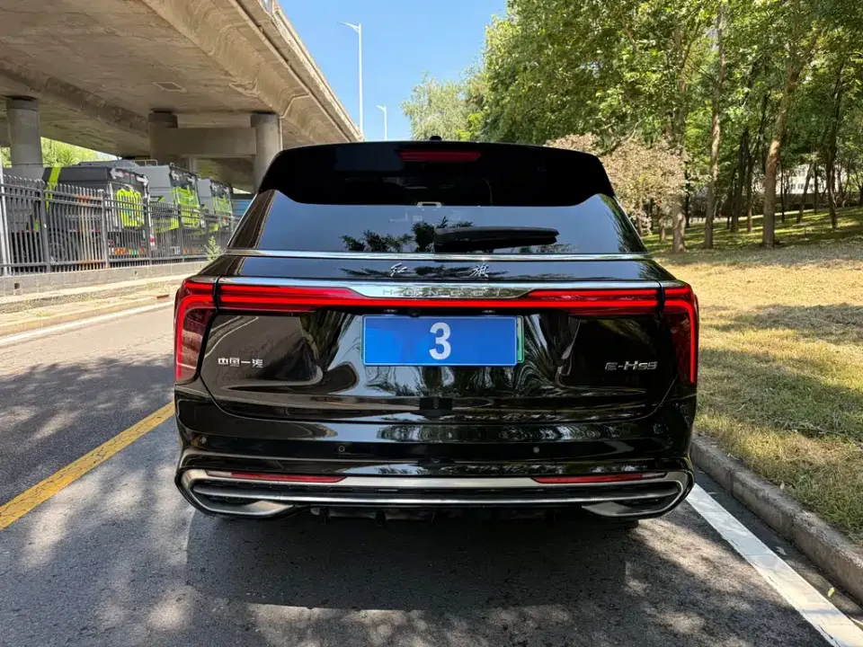 Hongqi Hongqi E-HS9