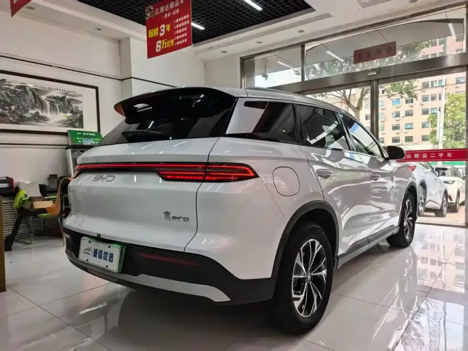 BYD Pro New Energy