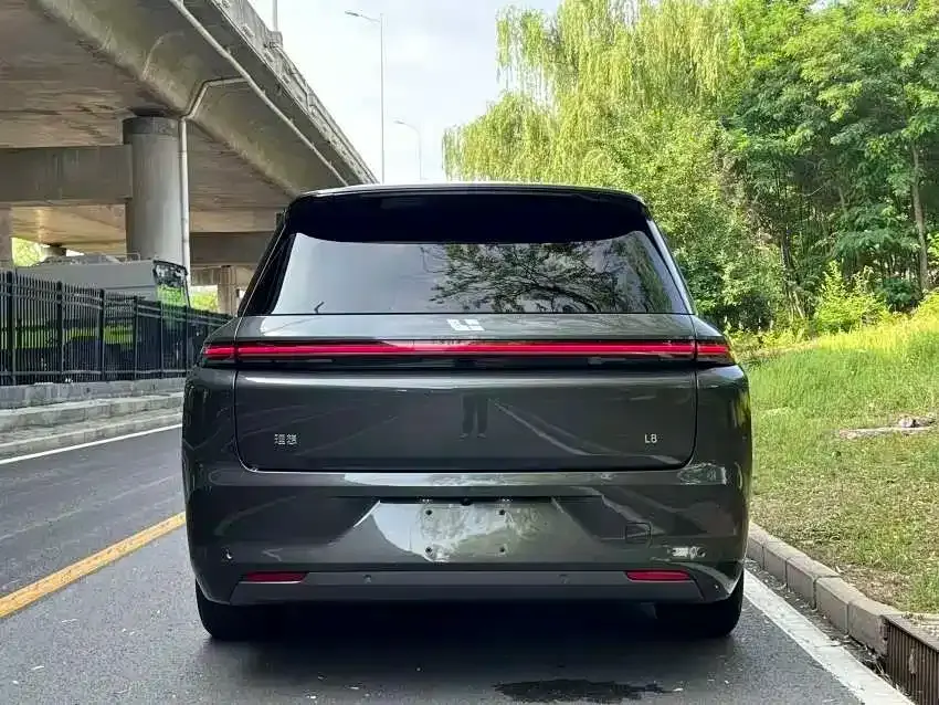 Li Li L8