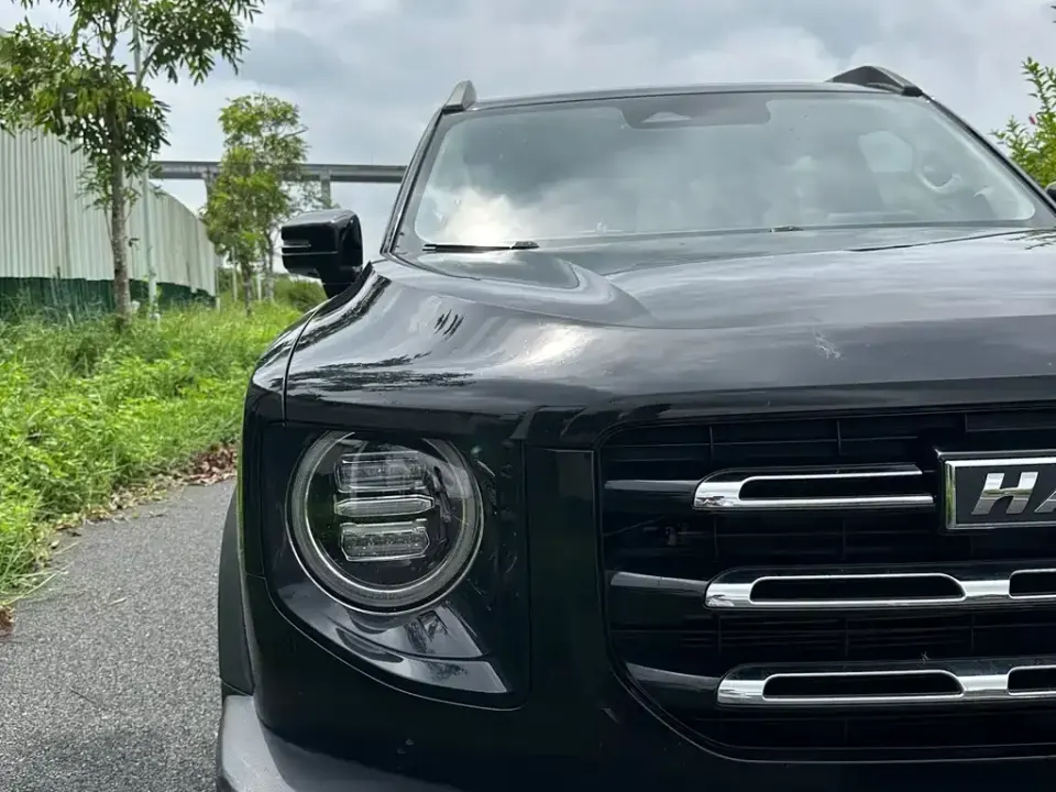 Haval Big Dog
