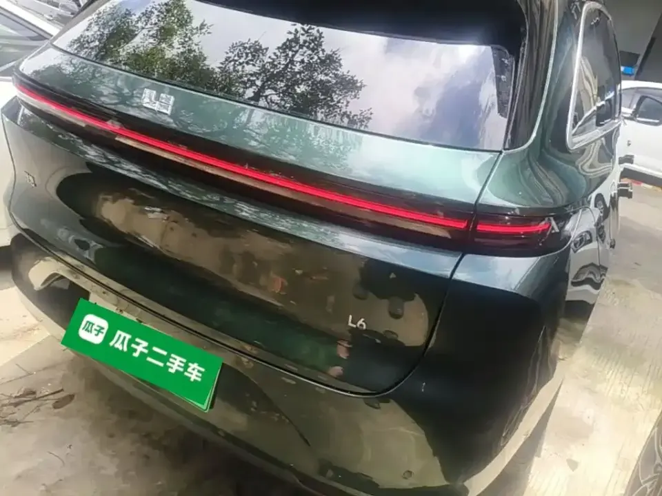 Li Li L6