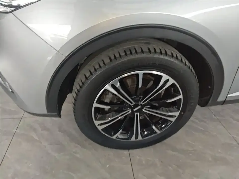 WEY Wey VV6