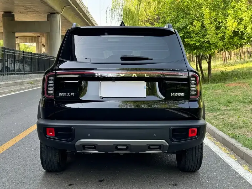 Haval Big Dog