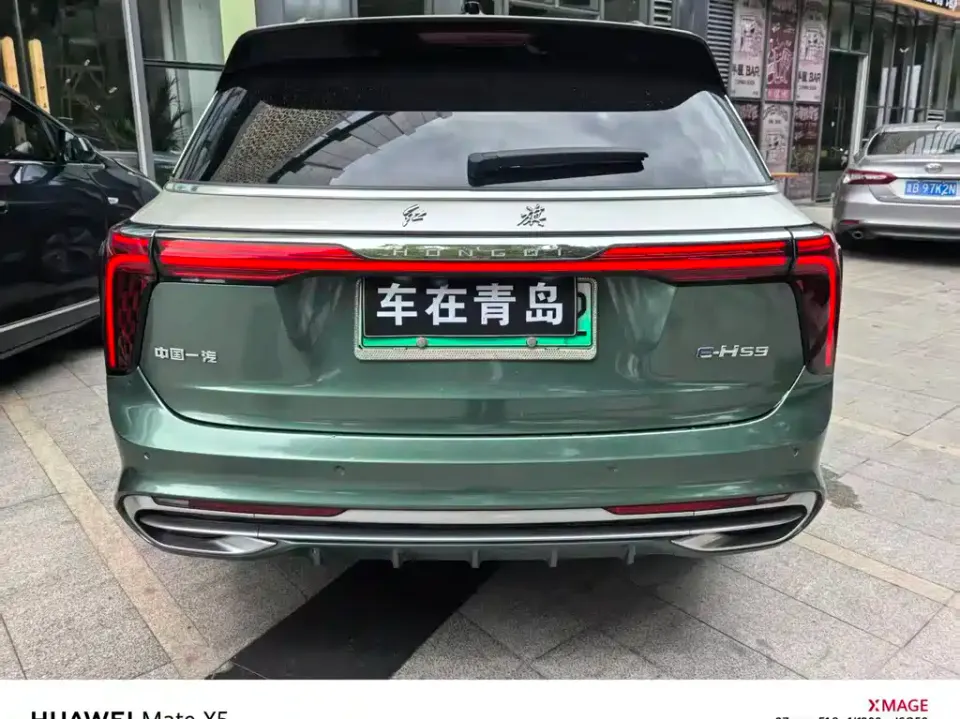 Hongqi Hongqi E-HS9