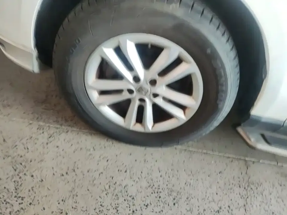 Zotye Zotye T600