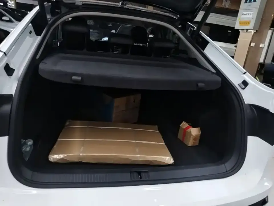 Volkswagen Tiguan X