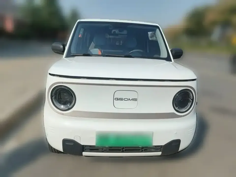 Galaxy Panda