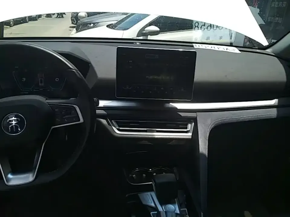 BYD Pro New Energy