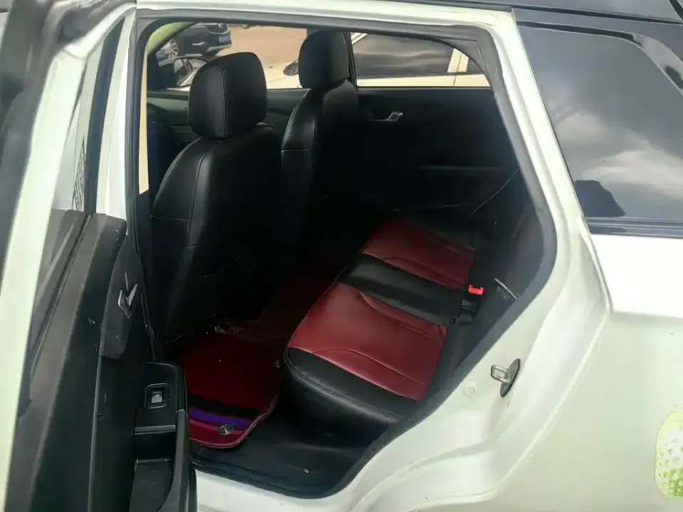 Dongfeng EV YOUNG Guang Xiaoxin