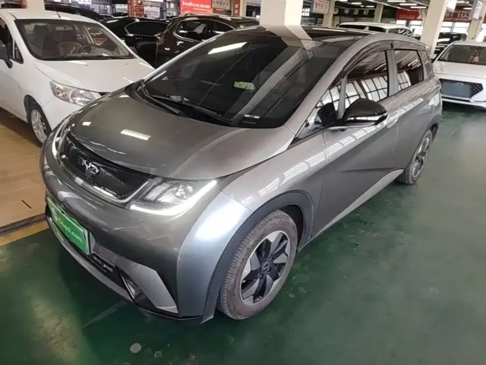 BYD Dolphin
