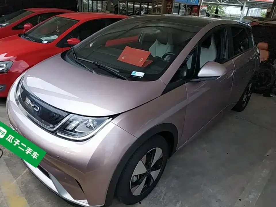 BYD Dolphin