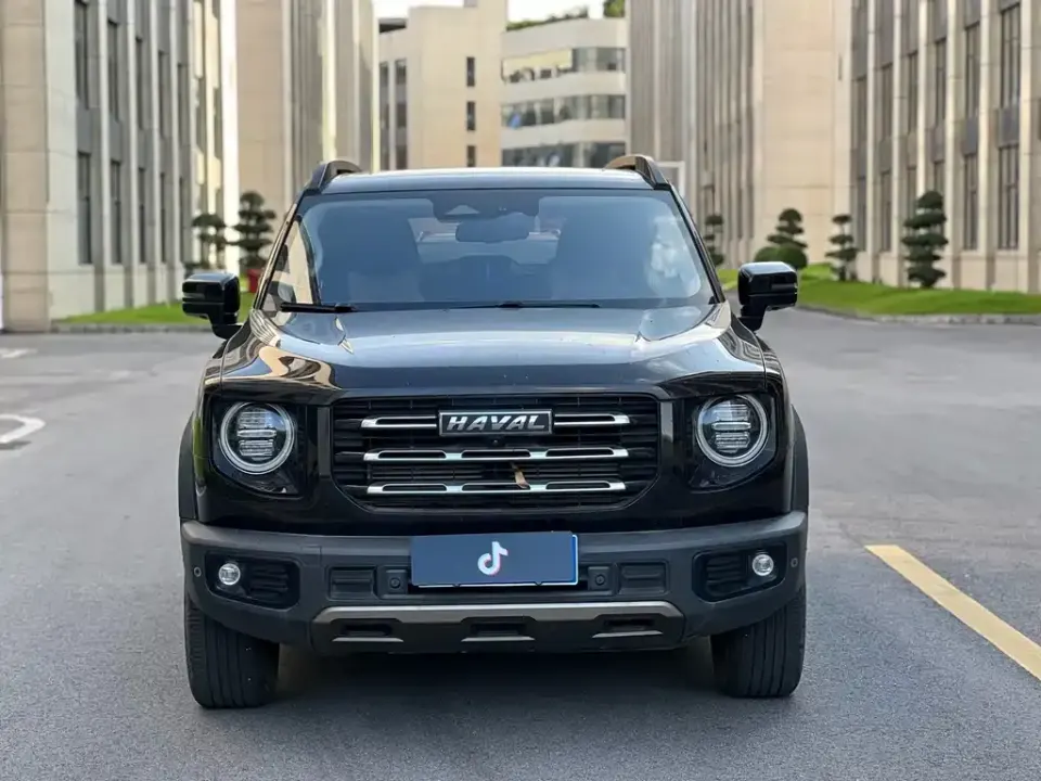 Haval Big Dog