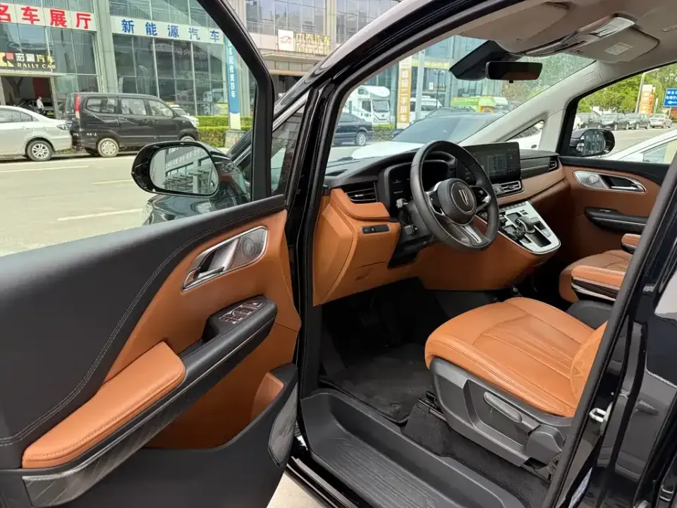 Hongqi Hongqi HQ9