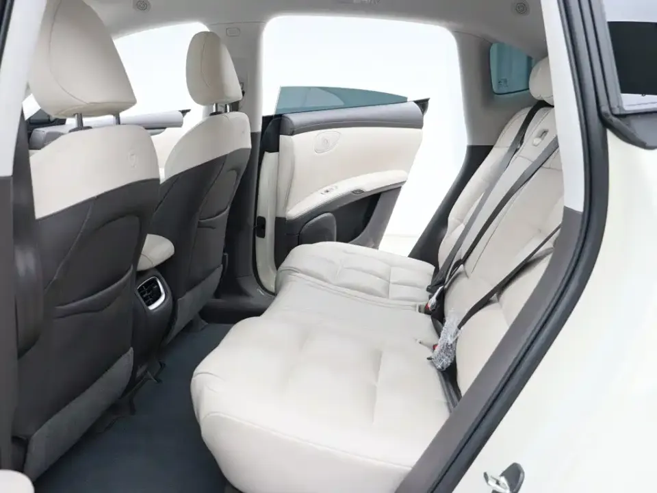 IM Motors IM LS6